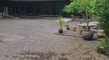 Gambar 3 Dijual Tanah Ubud Central Jln Utama