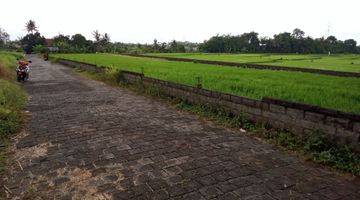 Gambar 2 Tanah murah di Bali Deket tanah lot,pantai kedungu,,dan canggu Tanah