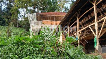 Gambar 4 Rumah konsep villa plus kandang ayam plus ayamnya daerah Ciwidey