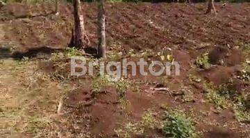 Gambar 2 Kavling kebun daerah Pasirhuni Ngamprah