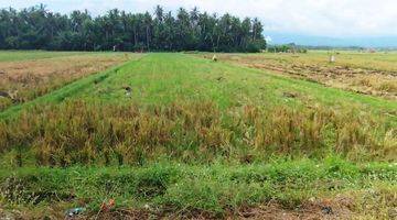 Gambar 2 Strategis Tanah View Sawah 32 Are di Delod Berawah Negara Jembrana