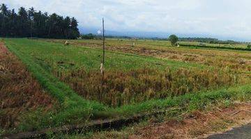 Gambar 1 Strategis Tanah View Sawah 32 Are di Delod Berawah Negara Jembrana