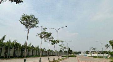 Gambar 4 Disewa Rumah Baru Green Royal Condo House Lt 1