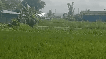 Gambar 5 Land For Sale At Klungkung Bali