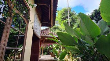 Gambar 3 House For Rent Monthly And Yearly, 3 Bedrooms At Sanur Bali