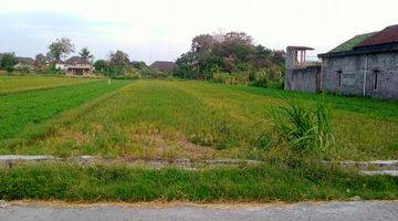 Gambar 2 Bu Banget Tanah Sawah di Tirtomartani Kalasan Harga 1 Juta m