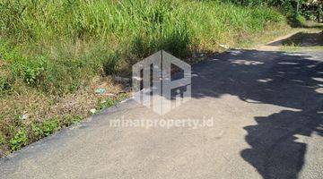 Gambar 1 Mp084 Tanah 1.610m2 Jl. D.i Pandjaitan, Km 9 Tanjungpinang 