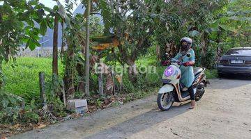 Gambar 1 LAHAN MURAH TENGAH KOTA