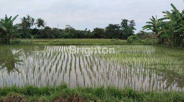 Gambar 1 TANAH SAWAH GIANYAR