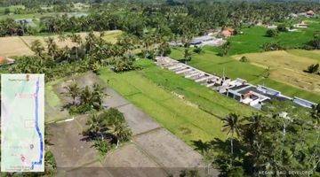 Gambar 5 Tanah Strategi Lokasi Pejeng Gianyar Tersedia Untuk Sewa