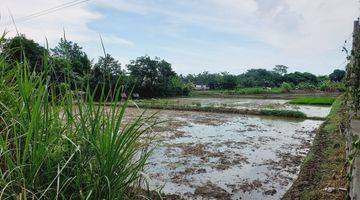 Gambar 3 Tanah di Jalan Raya Mangkang 5000m2 SHn