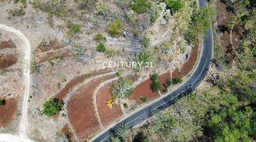 Gambar 1 Tanah Potensial Jalan Baron Gunung Kidul Di Tepi Jalan Provinsi