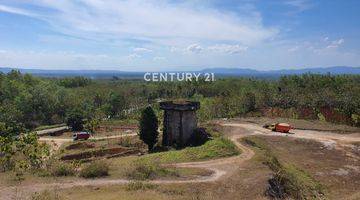 Gambar 3 Tanah Potensial Jalan Baron Gunung Kidul Di Tepi Jalan Provinsi