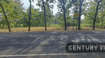 Gambar 3 Dijual Cepet Saja Tanah 500 M Di Wonosari Mangku Jalan Besar