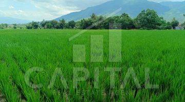 Gambar 4 Tanah Sawah Luas di Garut