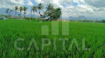 Gambar 1 Tanah Sawah Luas di Garut