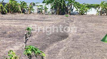 Gambar 1 TANAH DI BELAKANG GRAHA NATURA