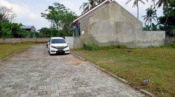 Gambar 1 Dijual Tanah Tanjung Sari Lokasi Tepi As Bonus Motor Nmax