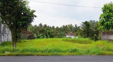 Gambar 4 Dijual Tanah Tanjung Sari Lokasi Tepi As Bonus Motor Nmax