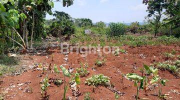 Gambar 1 TANAH TEGALAN 350M2 JL RAYA KRENGSENG GRINSING KAB.BATANG