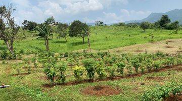 Gambar 1 Kavling Siap Bangun Di Kiara Farm, Kebon Duren, Bantar Kalong Sukabumi