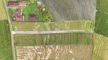 Gambar 2 Kavling Murah View Sawah Dekat Pantai Klecung