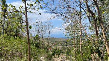 Gambar 1 Tanah Kavling View Laut Nusa Penida