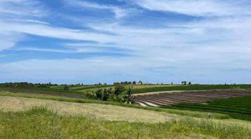 Gambar 4 Kavling Murah View Sawah Dekat Pantai Klecung