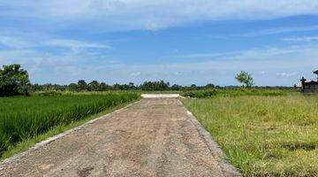 Gambar 5 Kavling Murah View Sawah Dekat Pantai Klecung