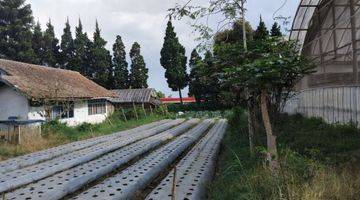 Gambar 5 Tanah SHM 8.990m² Siap Olah di Lembang Asri.