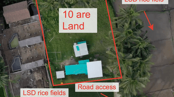 Gambar 1 Unique land in Petulu for rent 5 km from Ubud Palace (beautiful protected view) with private road access