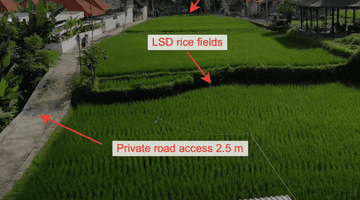 Gambar 2 Unique land in Petulu for rent 5 km from Ubud Palace (beautiful protected view) with private road access