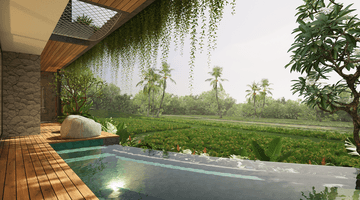 Gambar 3 Villa 3 Kamar Tidur View Sawah di Central Canggu