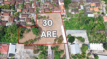 Gambar 1 KAVLINGAN LAND LEASEHOLD LODTUNDUH UBUD AREA