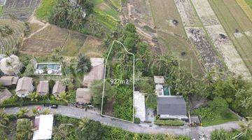 Gambar 3 Stunning 927m2 Of Land In Kedungu With River Views