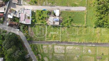 Gambar 4 300m2 Of Land For Sale In Kedungu With Ricefield Views