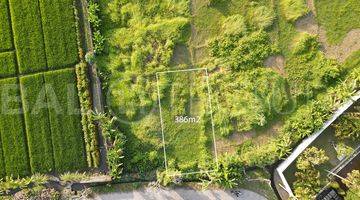 Gambar 4 Stunning Plot Of Freehold Land In Kedungu Beach 386m2 