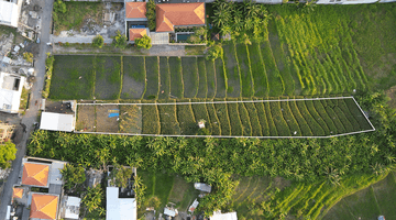 Gambar 2 1200m² Expansive Plot in Prime Berawa With Rice Field and River Views