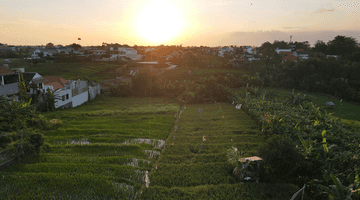 Gambar 4 1200m² Expansive Plot in Prime Berawa With Rice Field and River Views