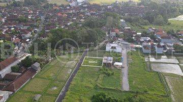 Gambar 3 300m2 Of Land For Sale In Kedungu With Ricefield Views