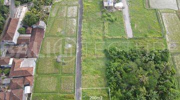 Gambar 3 200m2 Of Land For Sale In Kedungu With Ricefield Views