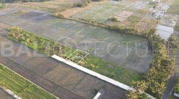 Gambar 1 Beautiful 326m2 Of Land In Kedungu With Ocean Views