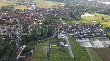 Gambar 1 300m2 Of Land For Sale In Kedungu With Ricefield Views