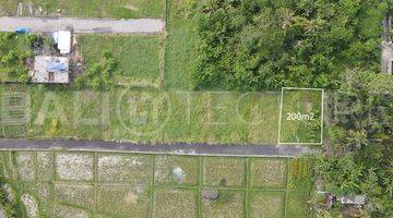 Gambar 2 200m2 Of Land For Sale In Kedungu With Ricefield Views