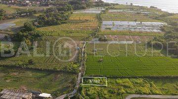 Gambar 1 Amazing Plot Of Freehold Land In Kedungu Beach 377m2 