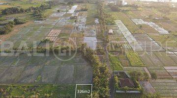 Gambar 3 Amazing 326m2 Of Land In Kedungu With Ocean Views