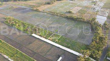 Gambar 2 Stunning 326m2 Of Land In Kedungu With Ocean Views