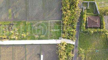 Gambar 4 Amazing 326m2 Of Land In Kedungu With Ocean Views