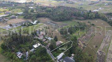 Gambar 2 Stunning 927m2 Of Land In Kedungu With River Views