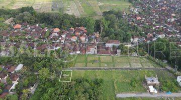 Gambar 4 200m2 Of Land For Sale In Kedungu With Ricefield Views